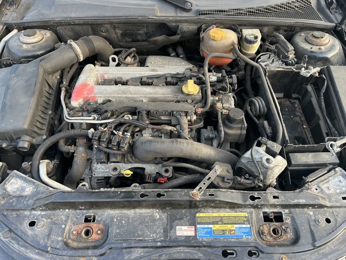 Cadillac Bls 2.0 benzyna 129 kw z20net hak kombi